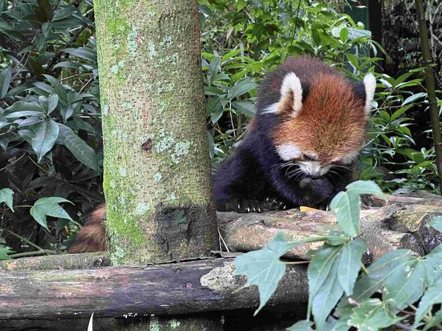 9月“错峰游”正当时 贵州、新疆、四川、海南受热捧