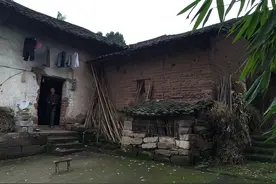 重庆农村中有大量毒蛇，咬伤村民吓坏专家，蛇为什么突然聚集？图片