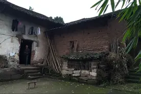 重庆农村中有大量毒蛇，咬伤村民吓坏专家，蛇为什么突然聚集？图片