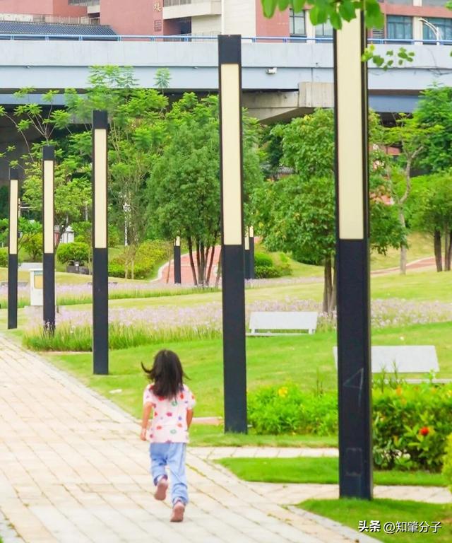 逃离城市热浪！东莞这个秘密花园藏不住了