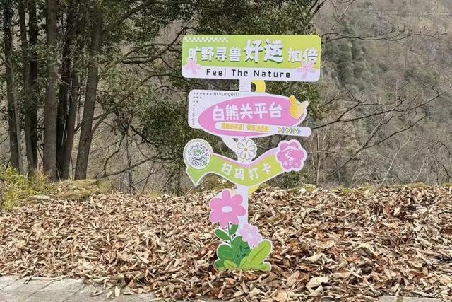 广元不远 周末优选 | 又是紫荆又是奖牌的，唐家河你成功引起了我的注意！