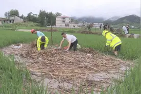 通山：1.8万余名党员防汛一线筑起“红色堤坝”图片