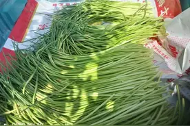 河南人的噩梦来了，摘不完，吃到吐，问题是不摘还不行图片