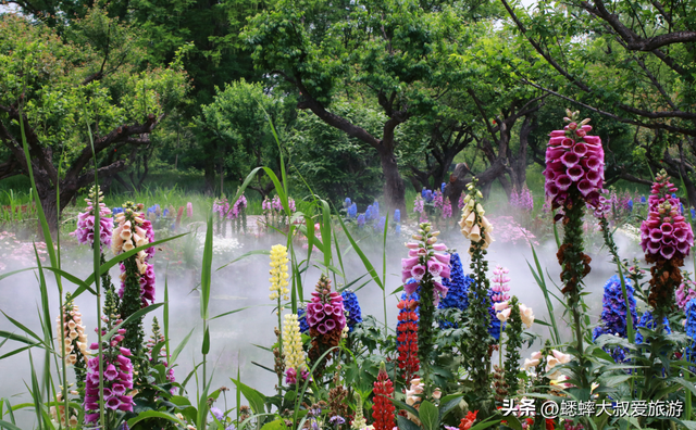 超惬意的2026杭州五一攻略游来了，赏花，祈福，游船，一个都不少