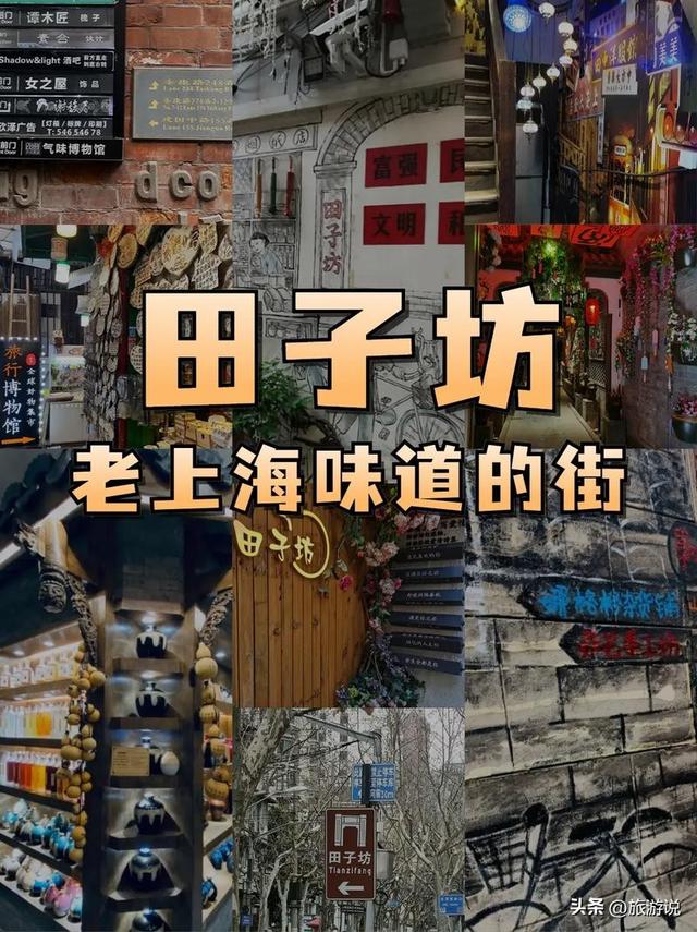 🏆 上海必去景点 TOP10(2025 最新版)
