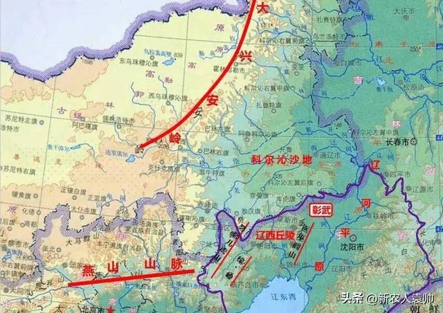 “我在彰武有棵树”生态主题研学游成果显著