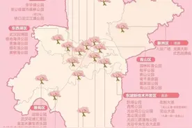 最新最全！武汉各区赏樱地图来了（附交通攻略）图片