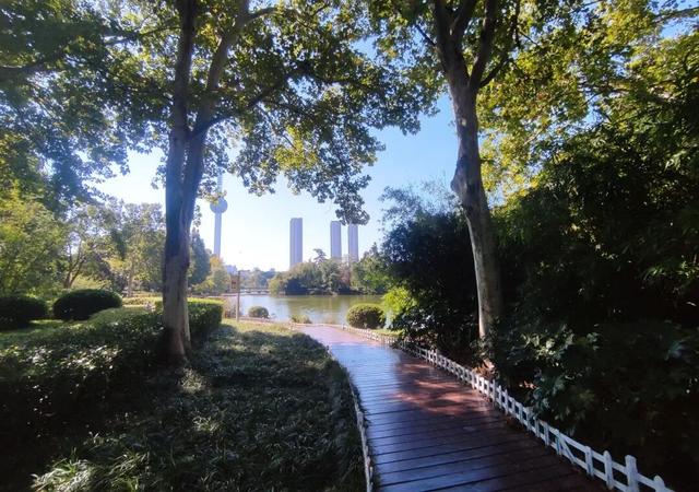 云龙公园春色好，绿肺含韵润彭城