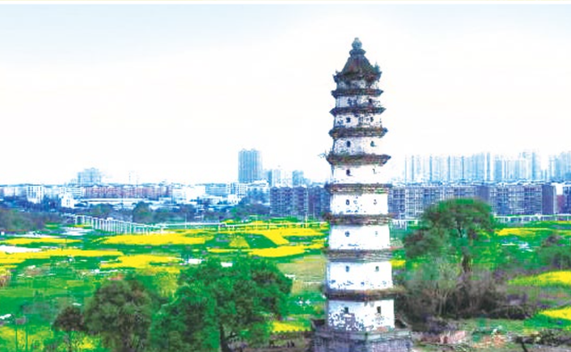 四川省岳池县历史沿革及行政区划