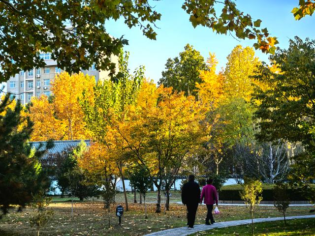 半烟火半诗意：潍坊园林的美，从不被定义