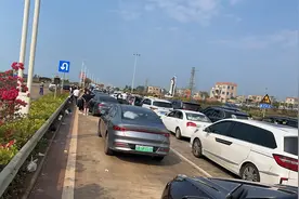 回家过年！女司机2天2200公里为爱奔赴！图片