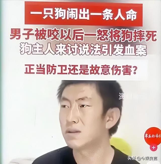 狗主人被反杀案开庭，9人闯门打砸，妻子后悔冲动	，更多细节披露