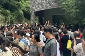 黔灵山网红猴多个表情包上线还在全国“征婚”？原创及园方回复来了图片