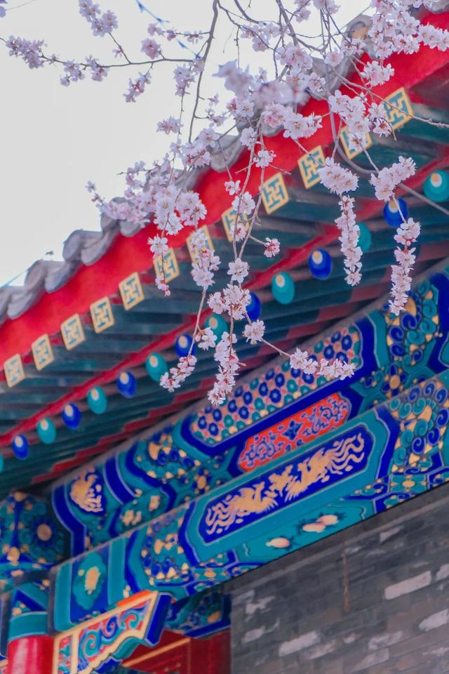 就在明天！公主府博物馆“桃映红楼”华服日正式开启，超多活动等你来玩