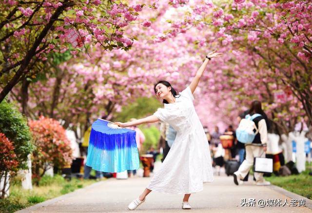 六盘水水城河畔樱花竞放引客浪漫踏春