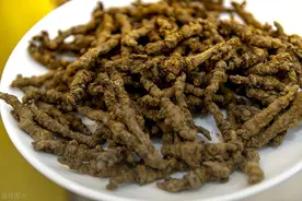 堪称“灭火器”，能灭“五火”（心火、肝火、胃火、肺火、肾火）图片