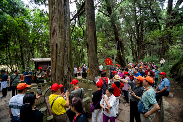 蜀道为轴，文化为魂！剑门关深度文旅融合，挥写中华文化传承新篇章
