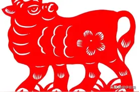 生肖牛：这几个月出生的牛命运很好，福气满满，越老越有福！图片