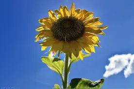 35岁之后的领悟:图片