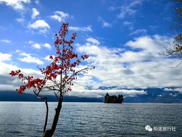 一年中最后一场华丽的秋色，鹤庆泸沽湖休闲5天游！11月底出发