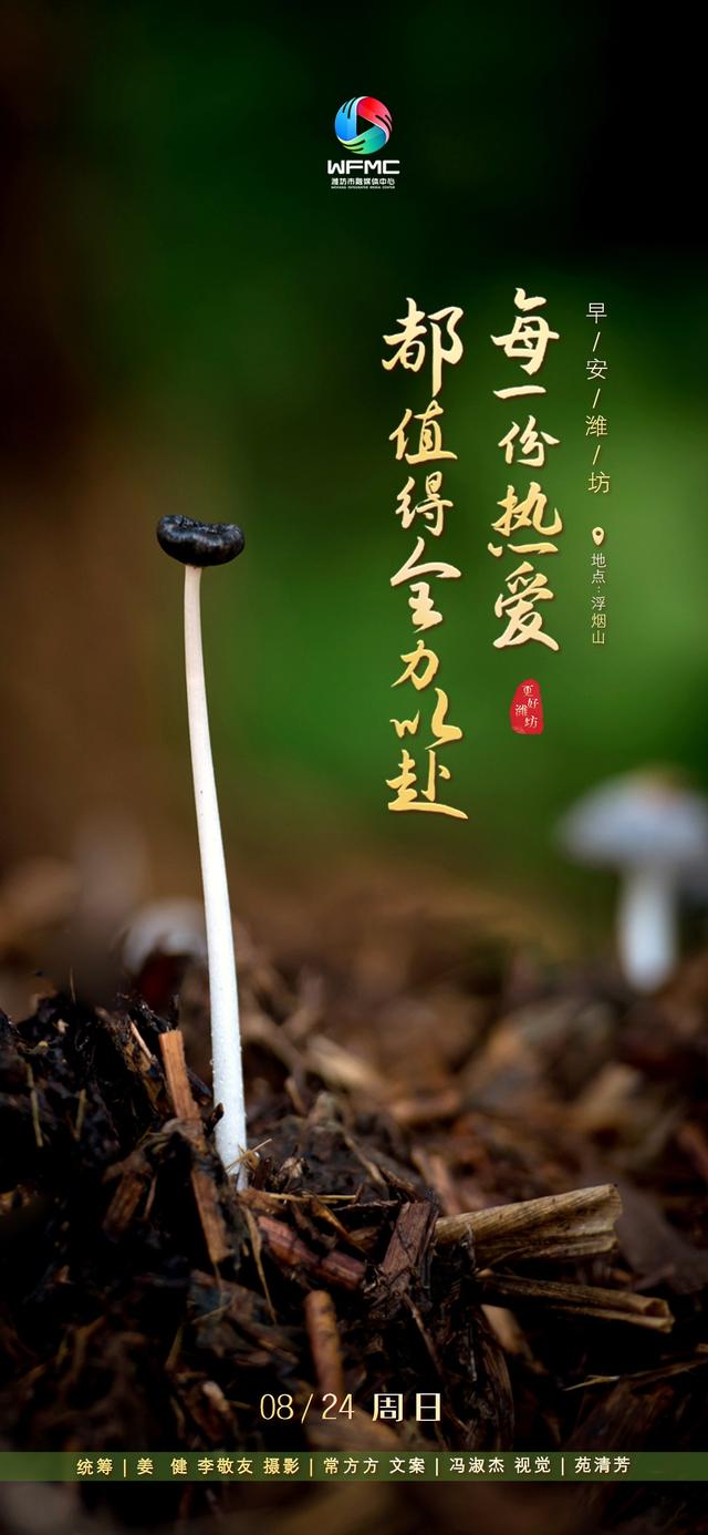 新闻早点8月24日 | 潍宿高铁至青岛连接线实现全线架梁
