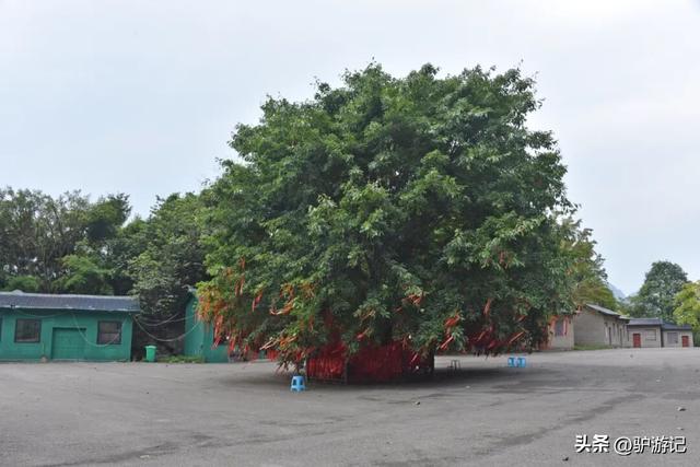 红崖天书，黄果树旁边的免费小众景点，千百年来身世成谜！