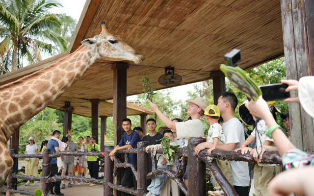 清明假期首日，海口亲子游火热登场！