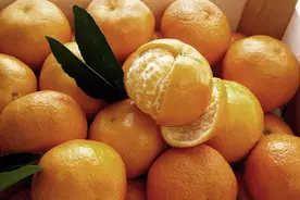 体检发现结节？多吃这几种天然“散结”食物图片