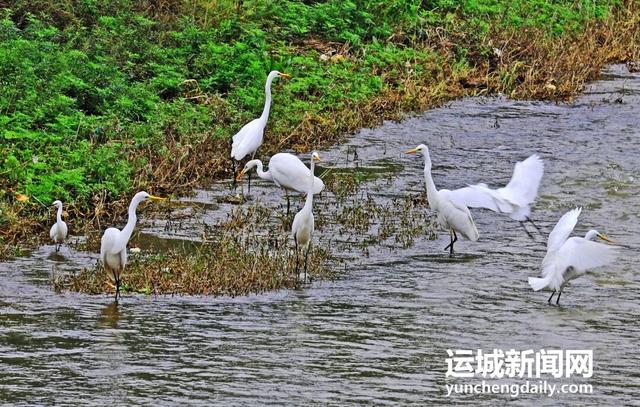 “淡季不淡”，运城文旅持续火热