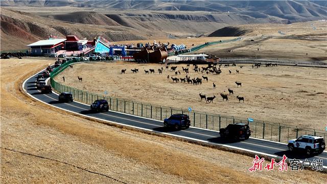 【联动宣传】车友集结张掖肃南 打卡祁连山9号公路