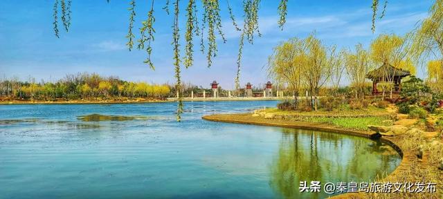 统统免费！秦皇岛家门口的这些好去处，千万别错过！