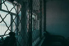 自利思维：为什么有的人做了错事，却在责怪别人？图片