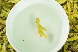 东方树叶对得起我的脸吗？图片