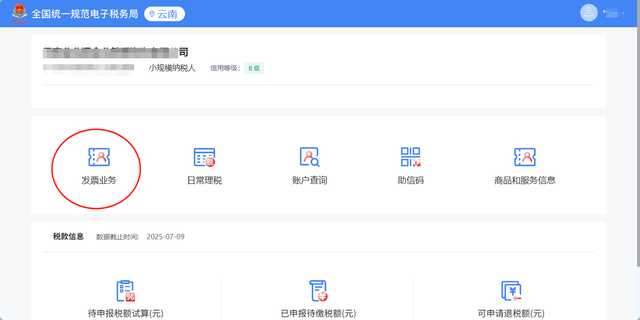 电子发票秒发客户：授权码终身设置指南（QQ/163/企业邮箱通用）