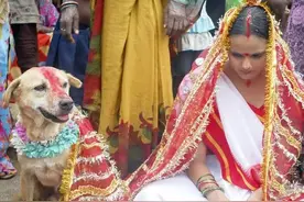 嫁给野狗、同时有俩妻子，奇葩到颠覆三观的夫妻，男变性人能生娃图片