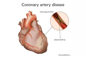 实在戒不了烟，少抽点行不行？图片