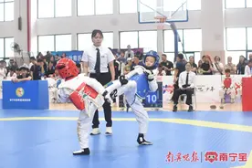 南宁337名跆拳道小将，假期赛场上一展拳脚图片