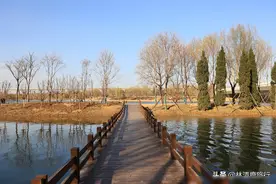 郑州5个大型湖泊公园，公交直达全免费，环境媲美5A景区图片