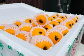 买枇杷甜不甜，别只看大小，牢记这8点，一买一个准，下次别挑错图片
