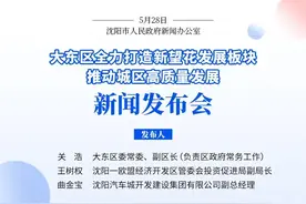 老片区即将华丽蜕变！全年计划实施重点项目132个，沈阳大东全力打造新望花发展板块！图片