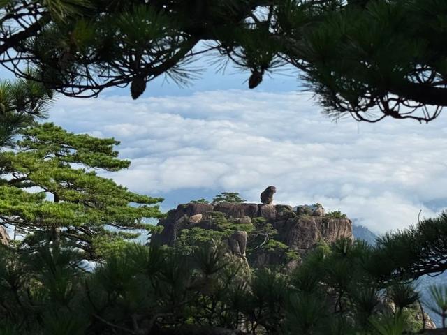 徒步三山五岳：安徽黄山！