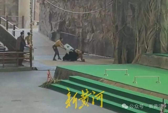 杭州市富阳区对杭州野生动物园“黑熊事件”作出处理：黑熊表演永久性停止、驯养员停职转岗