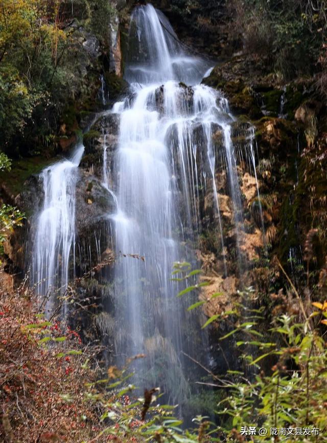 谁说冬日萧瑟？白马河畔，正藏着一个“暖色系”的冬天