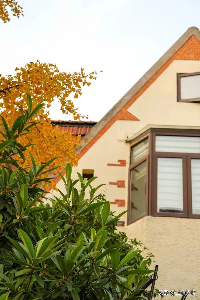 深秋限定！这条百年弄堂里尽是金色的浪漫！