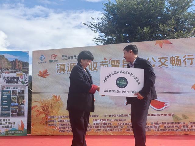 品羊汤锅、看舞龙...滇源丰收节暨昆明公交畅行游粉丝节启幕