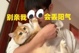 听老人说猫会吸走人的阳气，是真的吗？图片