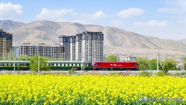 大美天水 | 花海上新！来天水，看“油”画里的春天~