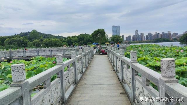 占地2200亩的长沙“巨无霸”公园，和杭州5A景区重名，地铁直达