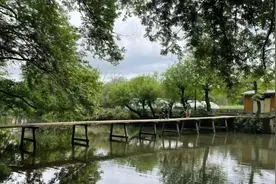 冯学成：先自度而后度众生图片