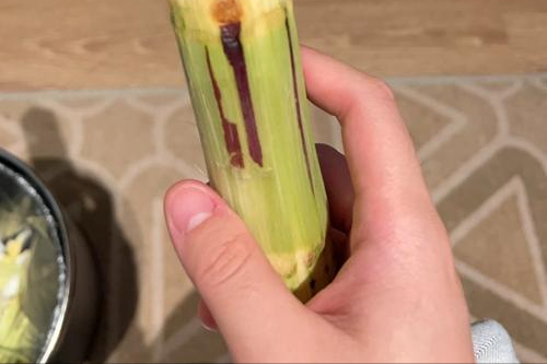 甘蔗，凉性还是热性？哪些人要谨慎食用，您在其中吗？